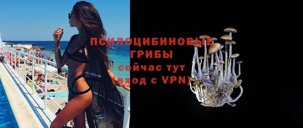 прущий лед Богородицк
