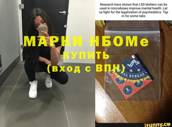 хмурый Аша