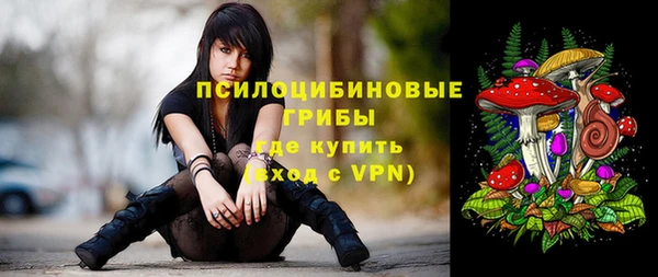 СК Богданович