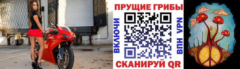 Галлюциногенные грибы ЛСД  купить наркоту  Бронницы 